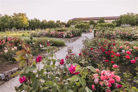 Tematické foto: Rosarium, ružová záhrada symbolizujúca ruženec
