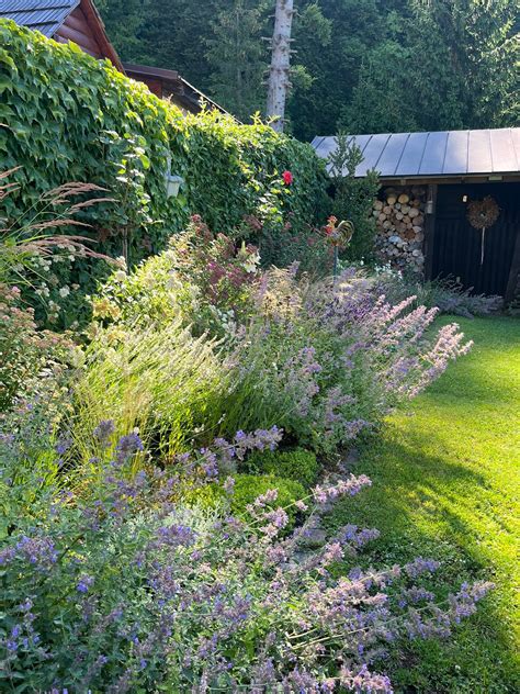 Kombinácia čerstvých kvetov a zelene v altánku