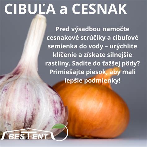 Cesnakové strúčiky a ochranné znaky nakreslené cesnakom na dverách