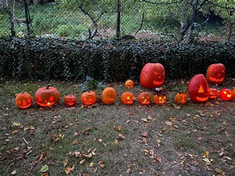 vyrezávané tekvice (jack-o'-lanterns)