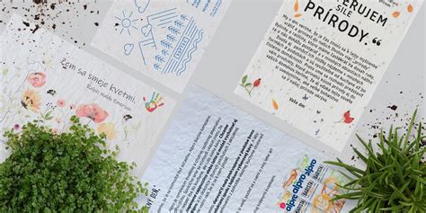 Infografika: Návod na výrobu semienkových bômb alebo rastúceho papiera