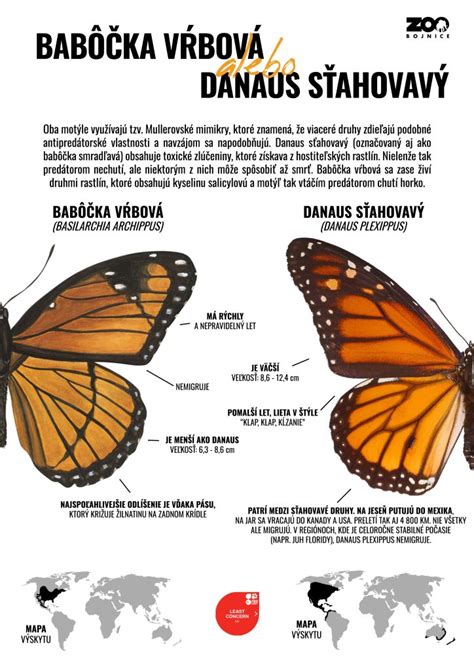 Infografika: Rozdiel medzi dobou a lehotou v slovenskom práve