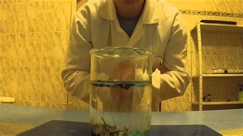 Chlapec vykonávajúci chemický experiment zo sady