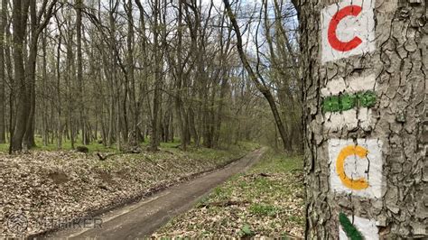 Fotografia vyhliadkovej veže s jarnou prírodou