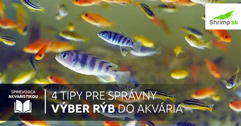 Schéma: Prehľad základných rybárskych uzlov a správneho výberu nástrah pre rôzne druhy rýb