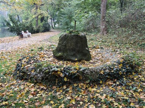 Fotografia monumentálnej starej lipy v zámockej záhrade Hronseku.