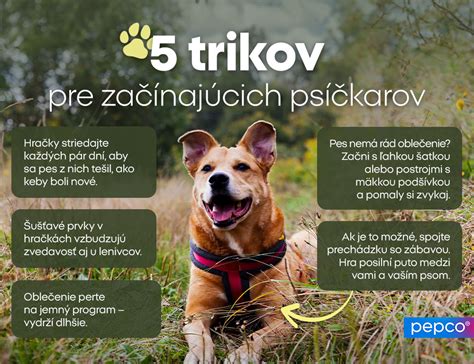 Infografika zloženia mäsových maškŕt pre psov