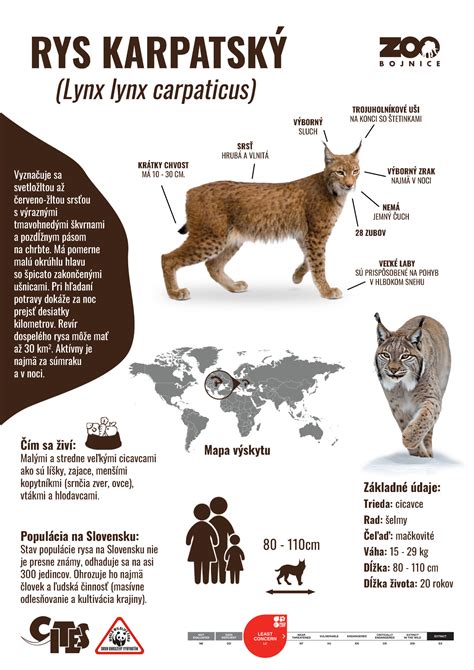 Infografika s obrázkami známych osobností menom Ľubomír.