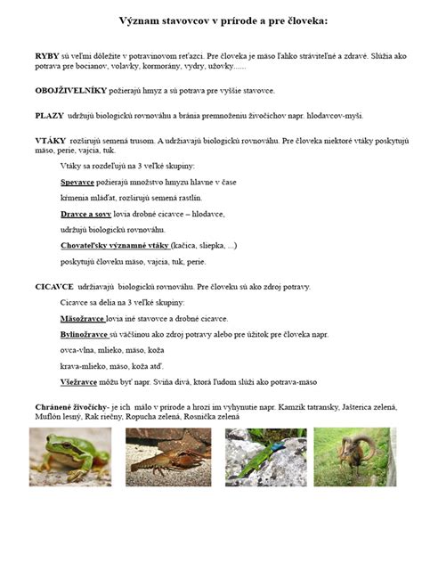 Tematické foto: rozmanitosť živočíchov a ich potravových zdrojov