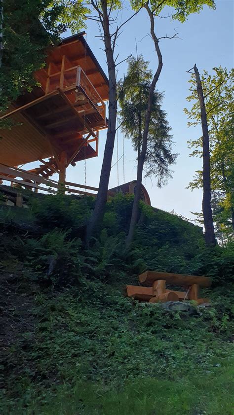 Schéma prirodzeného prostredia vianočného kaktusu v korunách stromov