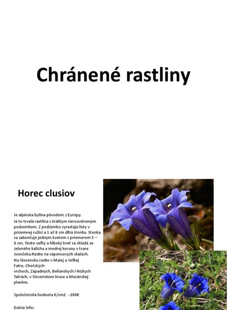 Infografika: Šťastné farby, rastliny a drahokamy mena Maroš