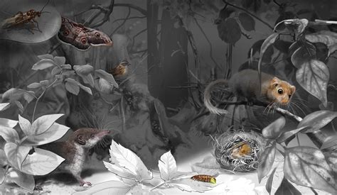 Ilustrácia zobrazujúca vystrašené zvieratá počas ohňostrojov