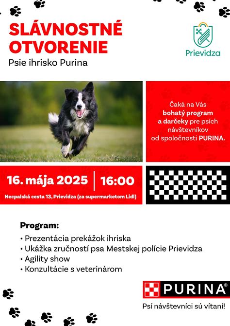 Ukážka vianočného svetríka pre psa