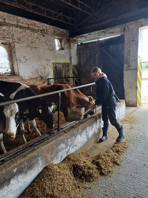 Fotografia starších ľudí na gazdovstve s hospodárskymi zvieratami