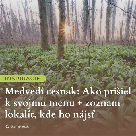 Symbolický obrázok vládcu alebo mierotvorcu, štýlizovaný slovanskými motívmi
