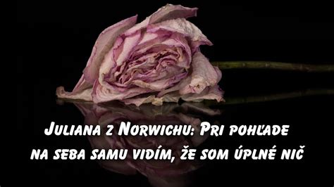 Bl. Juliana z Lüttichu a jej videnie