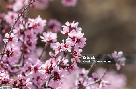 fotografia rúk, ktoré tvoria darček, s rozmazaným pozadím kreatívnych materiálov