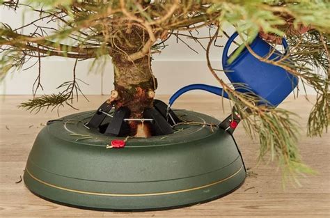 fotografia stojana na vianočný stromček s viditeľnou nádržkou na vodu