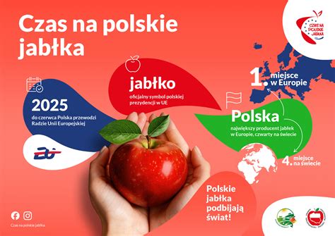 Infografika znázorňujúca postup krájania jablka a symboliku hviezdy vs. kríža