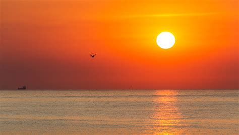 Infografika znázorňujúca vplyv vetra a slnka na svadbu na pláži.