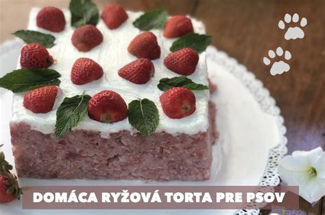 ilustratívna fotka hravého psa s kalendárom alebo tortou pre psov