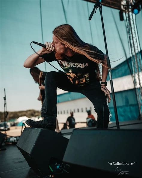 Fotografia Aviciiho počas vystúpenia