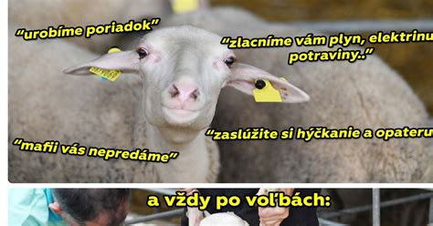 Infografika: Zemanove predvolebné sľuby a ich plnenie