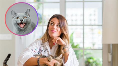 ilustrácia severskej bohyne Freje s mačkami a náhrdelníkom Brisingamen