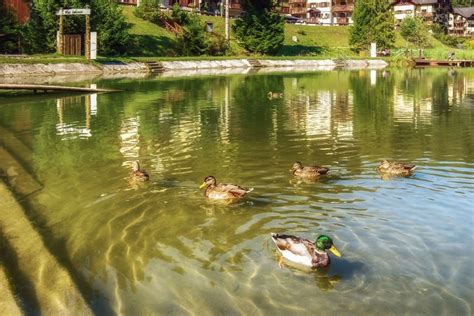 Chatová osada v Duchonke pri vodnej nádrži