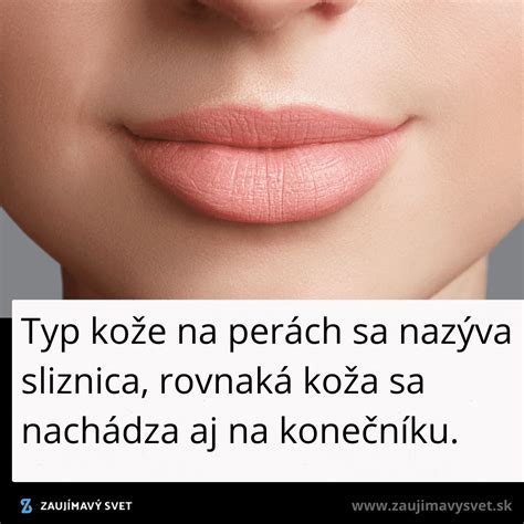 ilustrácia všetkých potrebných materiálov na výrobu ponožkového zajaca