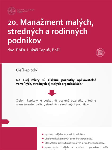 Grafika znázorňujúca podiel malých a stredných podnikov na obrate firemného sektora