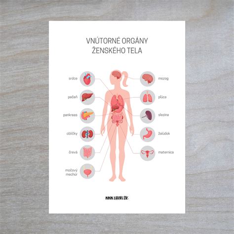 Infografika o charakteristických črtách žien s menom Ema