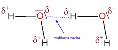 Schéma molekuly vody ako elektrického dipólu s vyznačenými vodíkovými väzbami