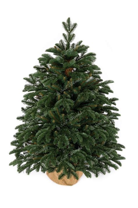 Různé typy umělých vánočních stromků a dekorací (např. vysoký stromek, malý stromek v květináči, girlanda, větvičky)