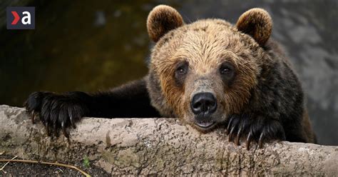 Tereza prekvapená pred oltárom pri stretnutí s Milanom