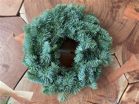 Infografika: Rôzne druhy zelených vetvičiek a prírodných plodov vhodných na vianočné vence