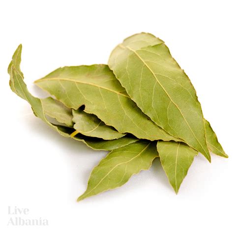 Tematické foto: Vetvičky vavrínu Laurus nobilis, bobkový list