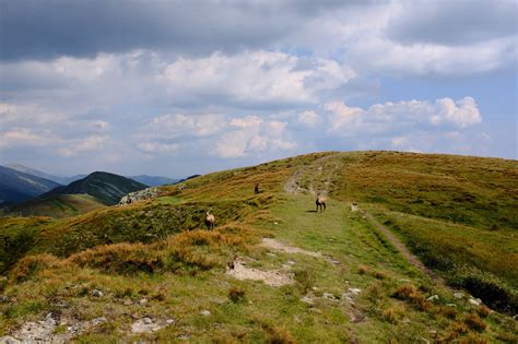 Krajinka Jánskej doliny alebo Nízkych Tatier s turistickým chodníkom