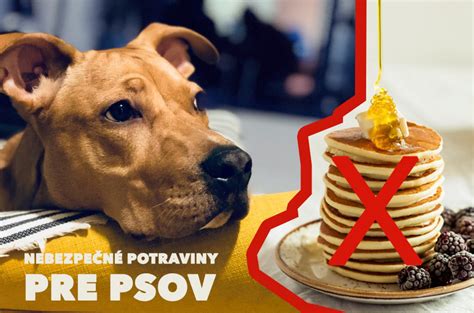 Schéma: toxické potraviny pre psov