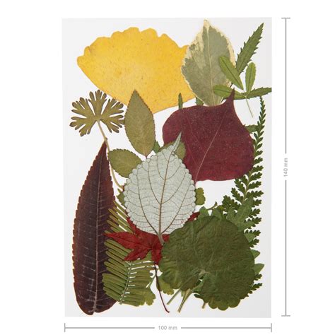 ilustrácia - rôzne netradičné materiály pozvánok (drevo, papier s textúrou, sušené listy)