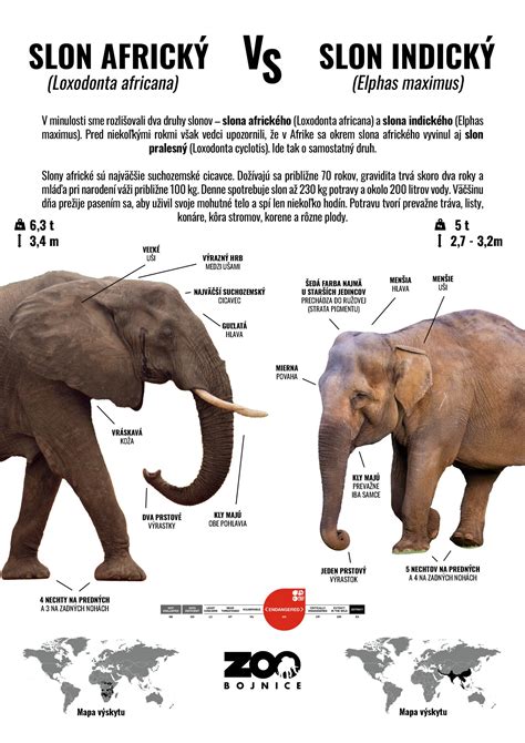 infografika znázorňujúca rozdiel medzi otvoreným malým obchodom a zatvoreným supermarketom počas českého štátneho sviatku