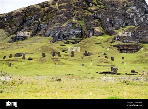 Detailná fotografia sôch Moai v lome Rano Raraku, znázorňujúca ich gigantické rozmery a spôsob umiestnenia.