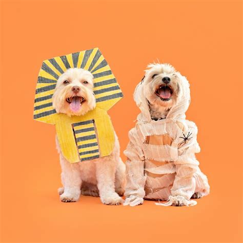 Pár v originálnych DIY halloweenskych kostýmoch