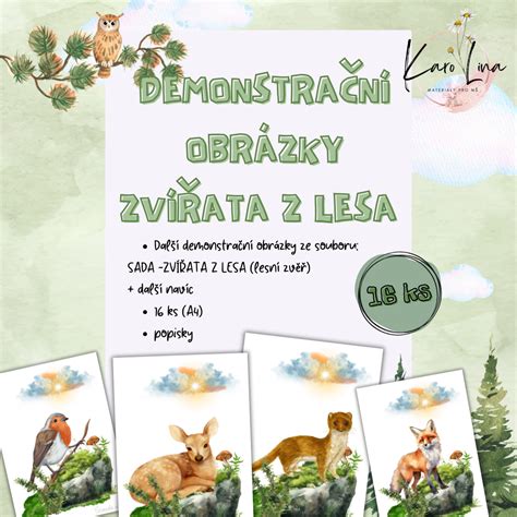 ilustrácia zvieratiek v zasneženom lese