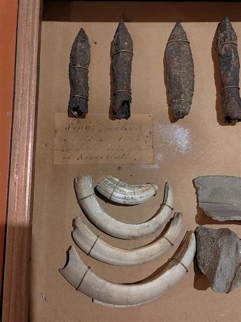 Archeologické nálezy bukovohorskej kultúry