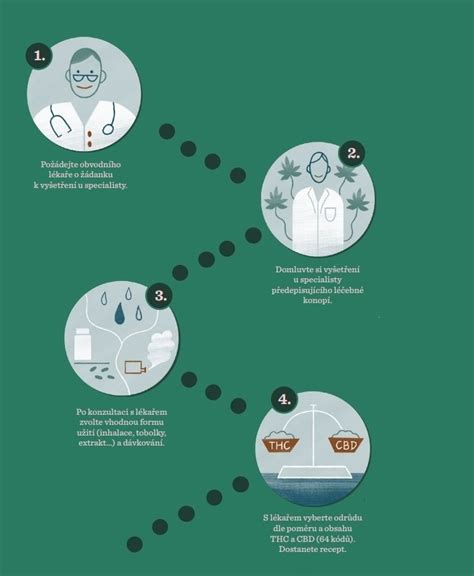 infografika: cesta k dospelosti - míľniky maturantov