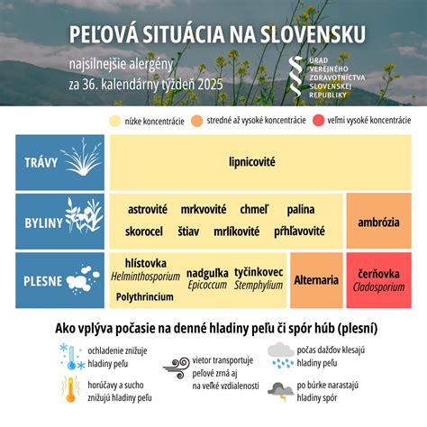 Obrázok znázorňujúci dúhu po búrke ako symbol nádeje a uzdravenia.