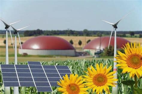 Schéma znázorňujúca jednotlivé druhy obnoviteľných zdrojov energie a ich premenu na elektrinu alebo teplo