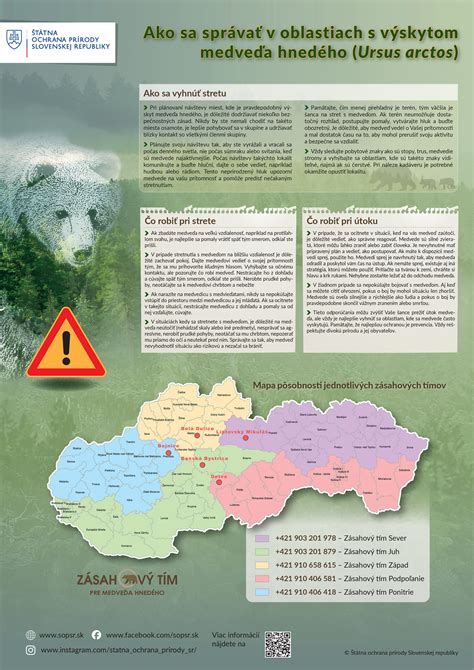 Infografika porovnávajúca lesnú obnovu v bezzásahových oblastiach a oblastiach s aktívnym manažmentom po víchrici 2004