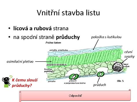 fotografia zošitého rohu širokého lemu (rubová a lícová strana)